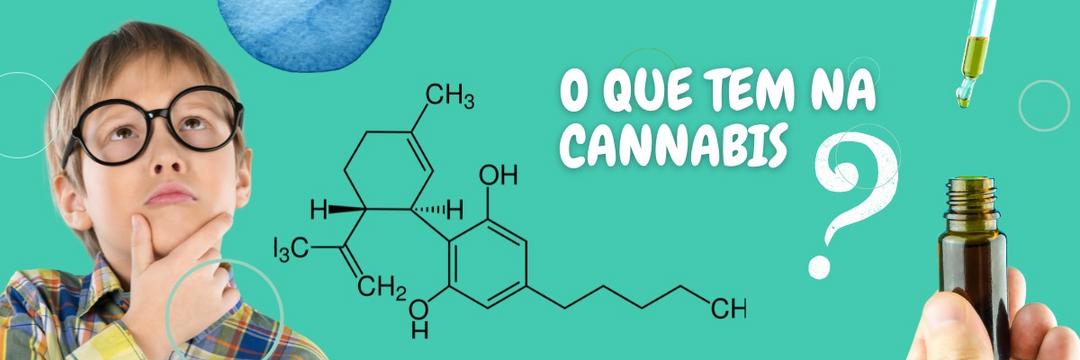 O que tem na Cannabis?