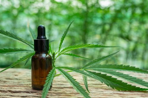Anvisa libera venda de produtos à base de cannabis em farmácias - entenda o que muda